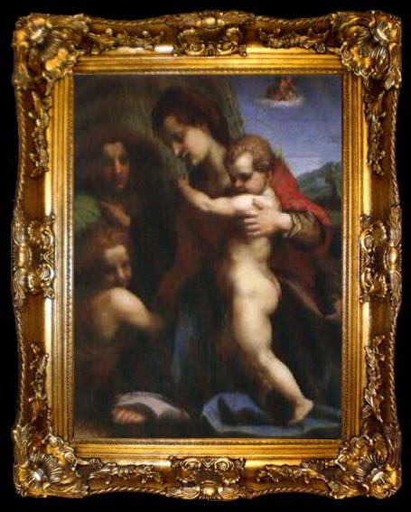 framed  Andrea del Sarto Our Lady of sub, ta009-2